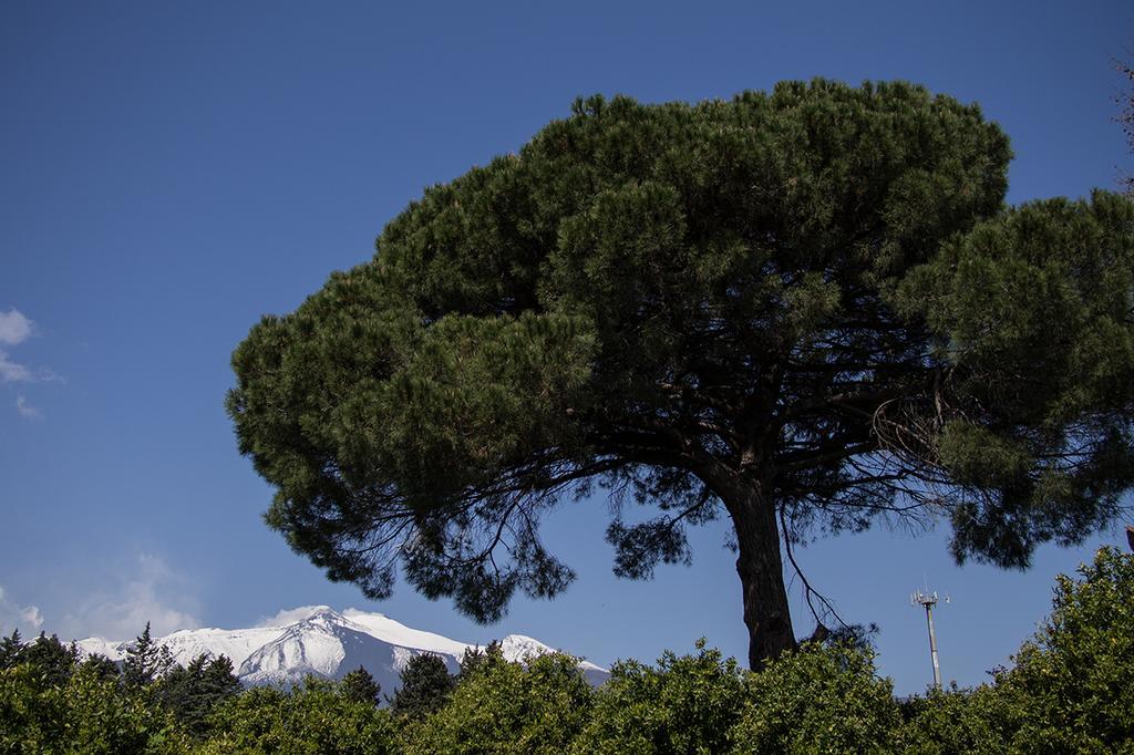 Vila Il Melograno San Leonardello Exteriér fotografie