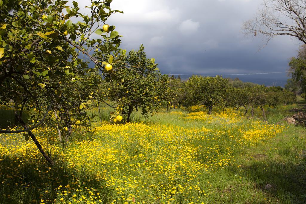 Vila Il Melograno San Leonardello Exteriér fotografie