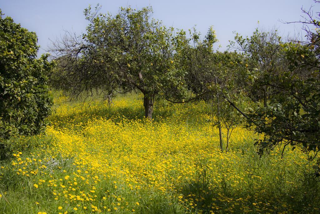 Vila Il Melograno San Leonardello Exteriér fotografie